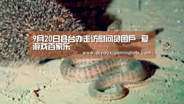 9月20日县台办走访慰问贫困户-爱游戏百家乐(图2) 爱游戏竞猜