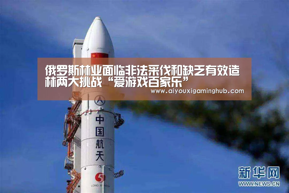 俄罗斯林业面临非法采伐和缺乏有效造林两大挑战“爱游戏百家乐”(图1) 爱游戏竞猜