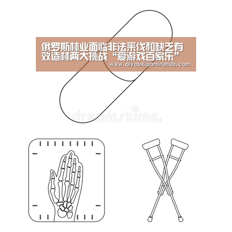 俄罗斯林业面临非法采伐和缺乏有效造林两大挑战“爱游戏百家乐”(图3) 爱游戏百家乐