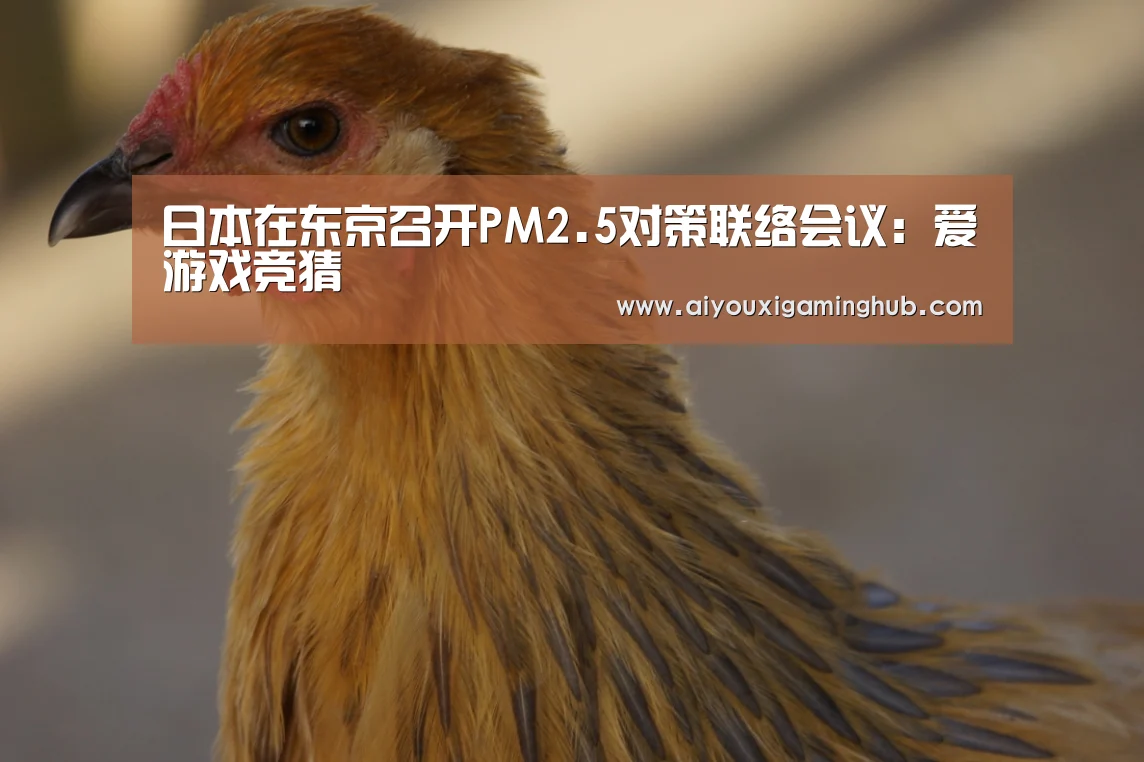 日本在东京召开PM2.5对策联络会议:爱游戏竞猜(图3) 爱游戏百家乐