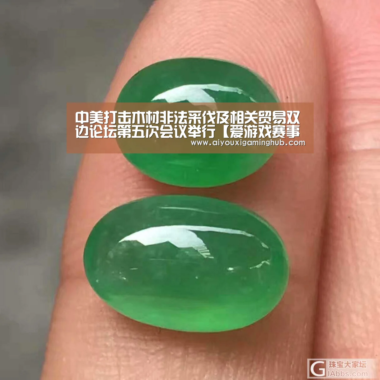 爱游戏赛事