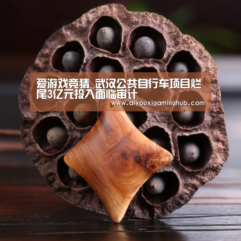爱游戏竞猜_武汉公共自行车项目烂尾3亿元投入面临审计(图1) 爱游戏赛事