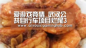 爱游戏竞猜_武汉公共自行车项目烂尾3亿元投入面临审计(图2) 爱游戏百家乐
