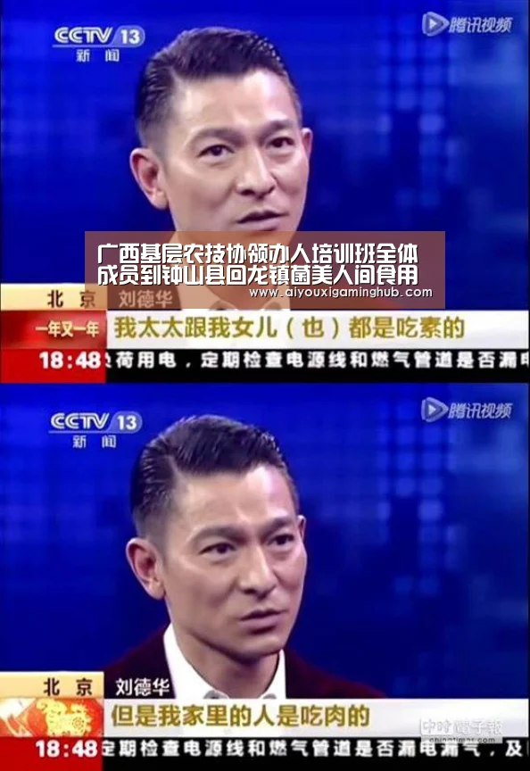 爱游戏竞猜