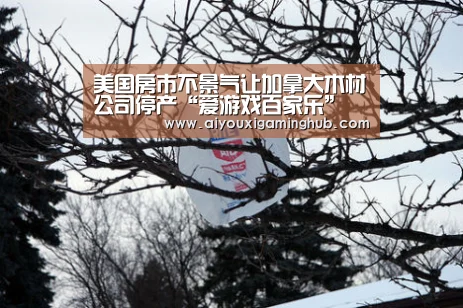 美国房市不景气让加拿大木材公司停产“爱游戏百家乐”(图4) 爱游戏平台
