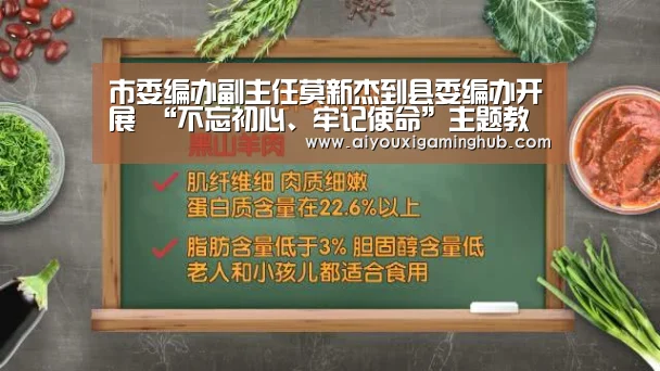 市委编办副主任莫新杰到县委编办开展 “不忘初心、牢记使命”主题教育党课-爱游戏赛事(图4) 爱游戏赛事