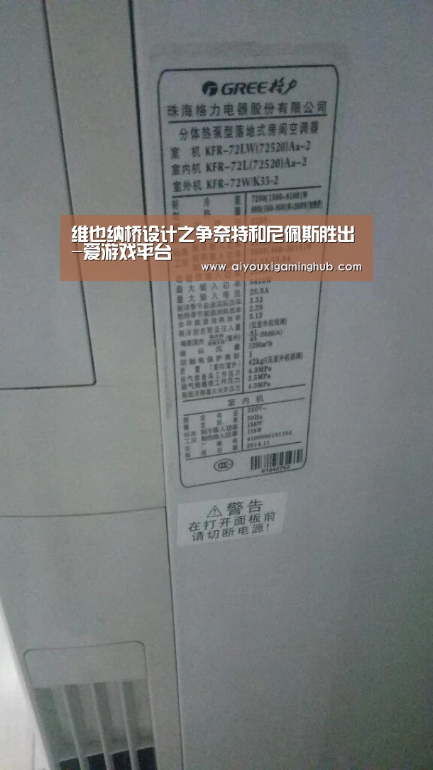 维也纳桥设计之争奈特和尼佩斯胜出-爱游戏平台(图1) 爱游戏竞猜